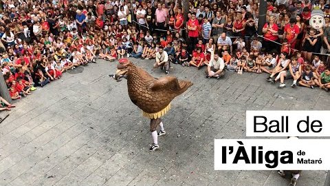 Ball de l'Àliga de Mataró des de l'Ajuntament de Mataró