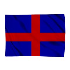 Bandera de Mataró i Senyera amb Gegants