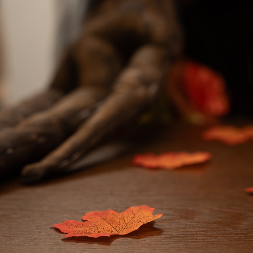 Plano detalle de las hojas de otoño de la Fulla Caduca