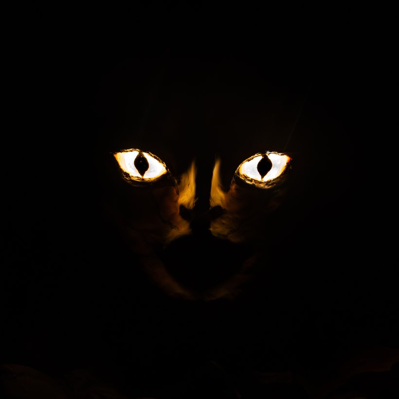 Plano detalle de los ojos de la Fulla Caduca iluminados de noche